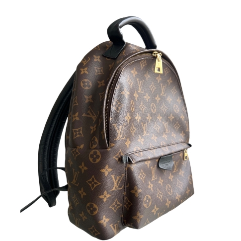 Louis Vuitton Palm Springs MM backpack